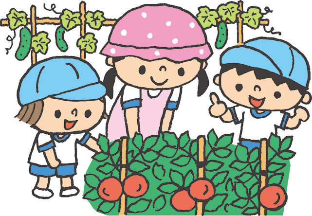 野菜の収穫のイラスト