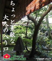 ちょっと素敵な大人の入り口