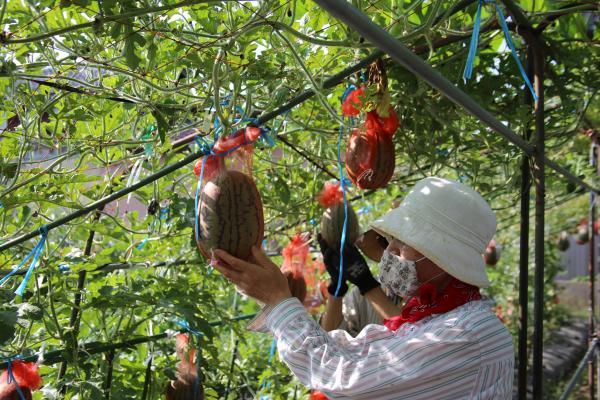 寿大学院園芸コースの様子