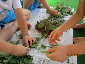 枝豆をとる子供たち