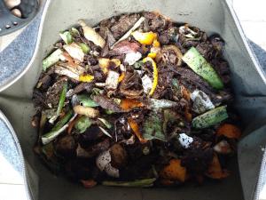 コンポストの中（分解前）