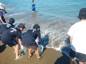 海岸清掃の様子3