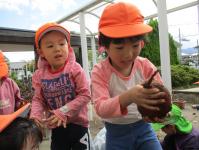 芋をもって笑顔の３歳児