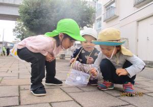 どんぐりを見つけた２歳児