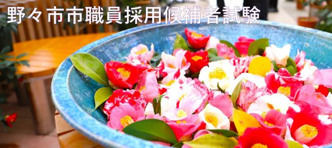 採用候補者試験