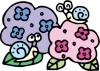 あじさいイラスト
