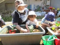 優しくポンポン