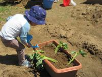 大きくなってね