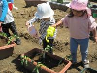 お水いっぱい飲んでね