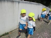 4歳児　散歩
