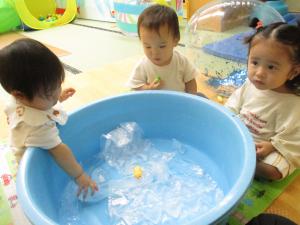 氷に触れてみる0歳児