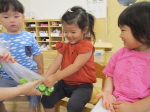 収穫したきゅうりを塩もみする2歳児