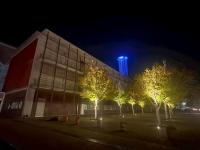 ライトアップ正面玄関から