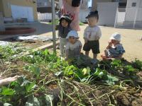 何があるのかな？