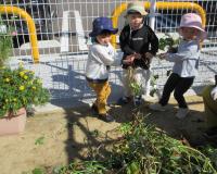 うんとこしょ、どっこいしょ