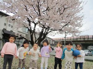 綺麗な桜の前でポーズする２歳児