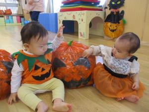 ハロウィンの仮装をして大きなかぼちゃを触る０歳児