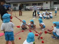 4歳児　玉入れをしたよ　どっちが勝ったかな