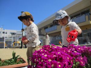 園庭に咲いている花に水やりをする２歳児二人