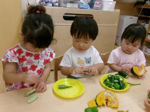 収穫した夏野菜の感触を楽しんでいる１歳児