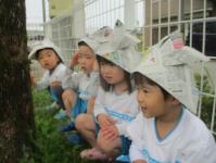 3歳児　新聞紙でかぶとをつくったよ　似合うでしょう