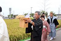 献穀田御抜穂式の様子13の画像