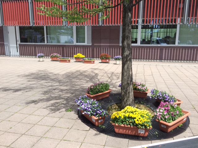 花の会「ふすい」