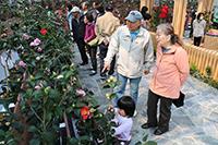 大会・まつりの様子の画像50